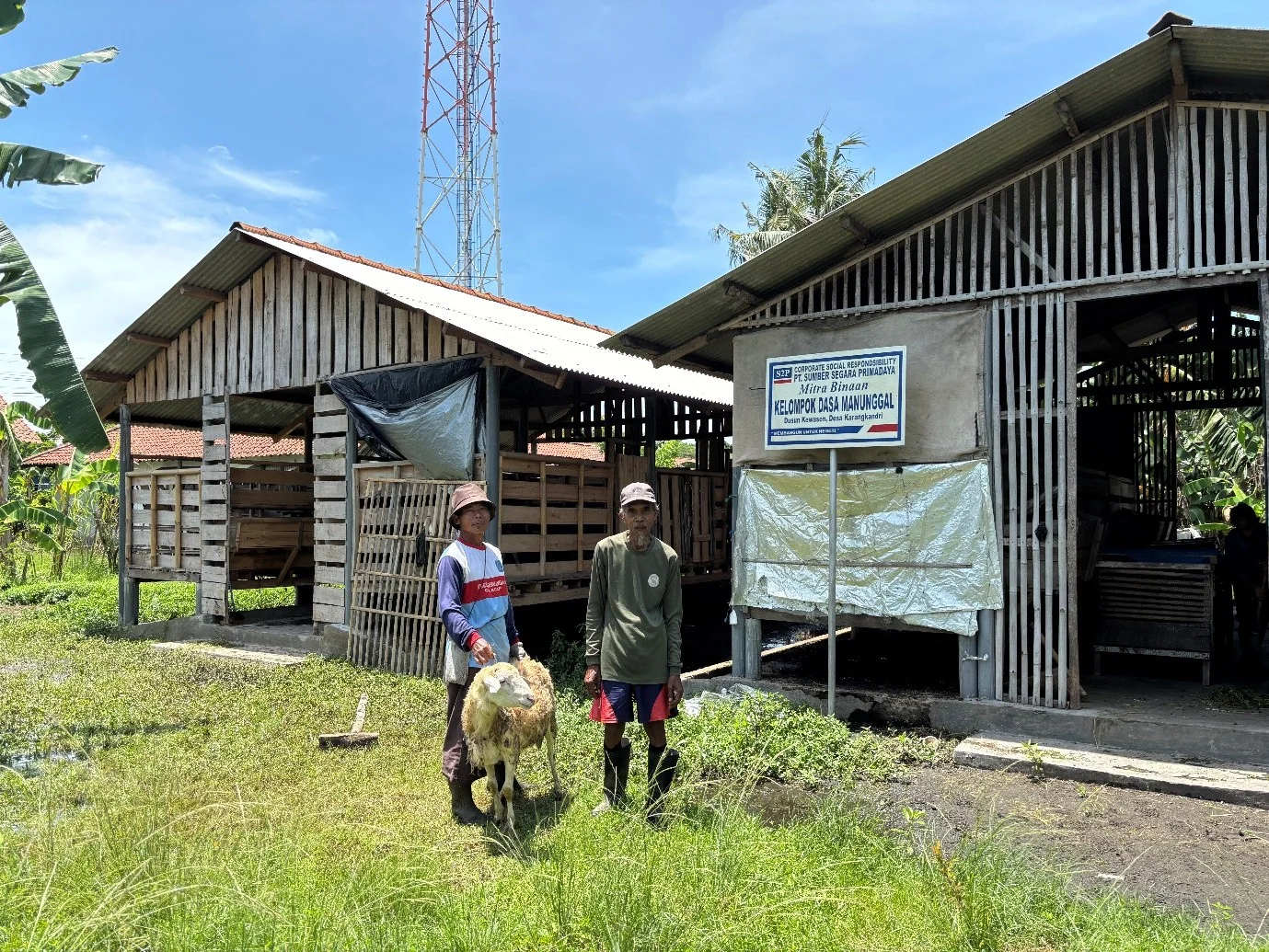 S2P Develops Livestock Groups in Karangkandri Village to Become More Modern